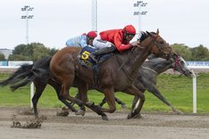 City Code 0970 (1).jpg