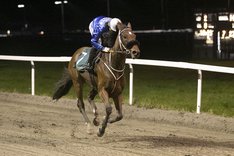 Clauses Andy_S8I5918.jpg