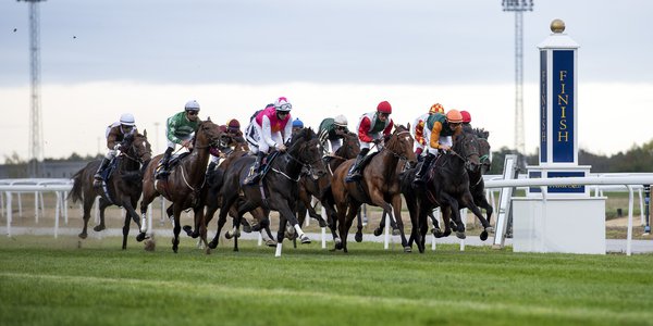 Cup-fältet2019.jpg