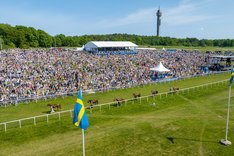 Nationaldagsgaloppen DJI_0236