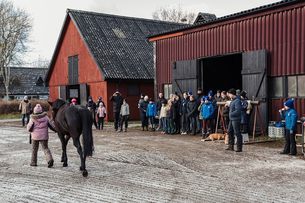 Stall Rancho utbildningsdag ponny