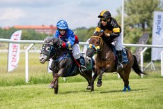 DSC_1851 copy-X2 Trix W på Gärdet