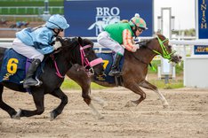Ponnygalopp DSC_4635.jpg