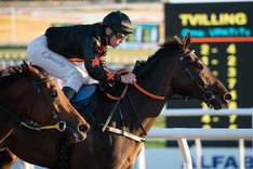 Mesmerize DSC_5826 copy.jpeg