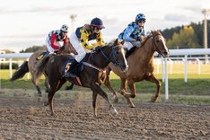 Ponnygalopp Bro Park DSC_6948.jpg