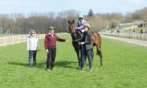 DSC_73001 Negroamaro efter seger på Århus Galopp 23 april 2023