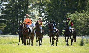 Strömsholm 2019 DSC_7665.jpg