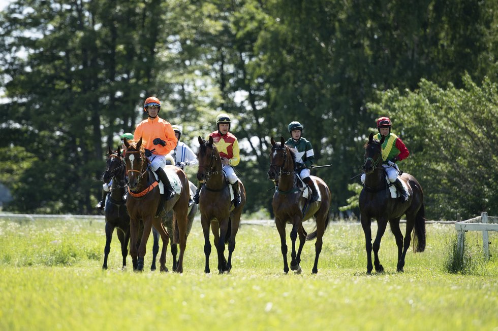 Strömsholm 2019 DSC_7665.jpg