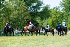 Strömsholm DSC_7837 copy