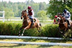 DSC_7893 Mutadaffeq Svenskt Grand National 2023