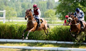 DSC_7893 Mutadaffeq Svenskt Grand National 2023