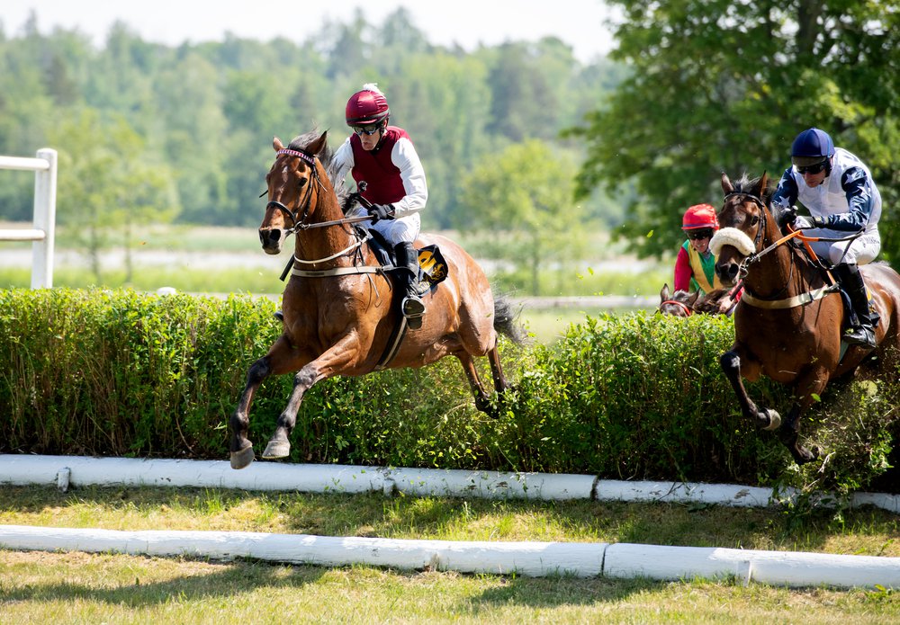 DSC_7893 Mutadaffeq Svenskt Grand National 2023