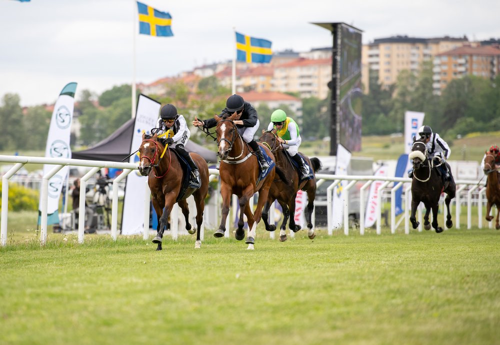 Nationaldagsgaloppen 2025 DSC_8283