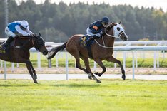 DSC_9801 copy-X3 Little Arabella vinner Stockholm Fillies And Mares 2023