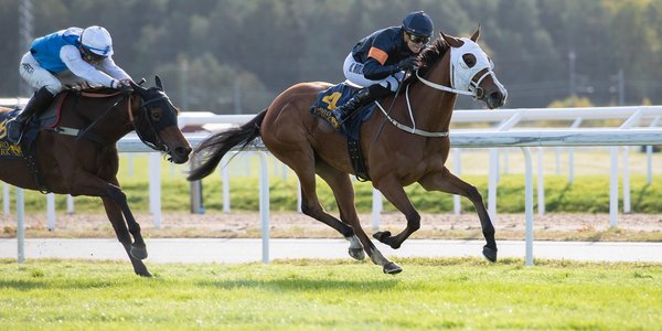 DSC_9801 copy-X3 Little Arabella vinner Stockholm Fillies And Mares 2023