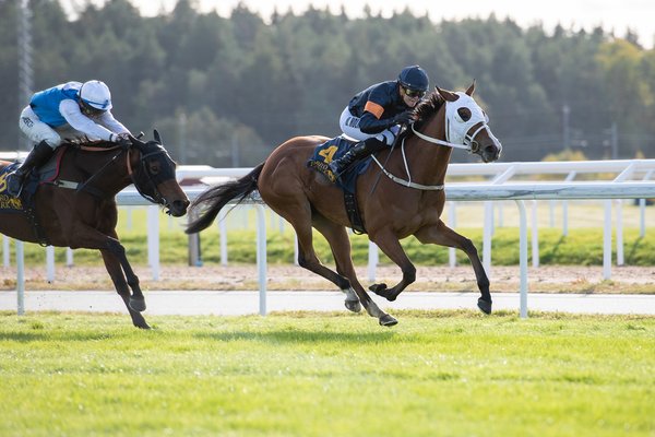 DSC_9801 copy-X3 Little Arabella vinner Stockholm Fillies And Mares 2023