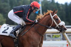 Dea Kalejs 2394.jpeg