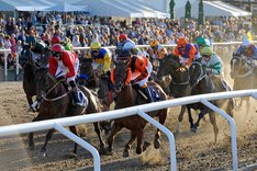 Derby på Jägersro.jpg
