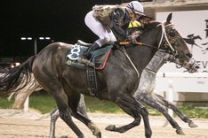 Desert Dust_S8I7983 redigerad