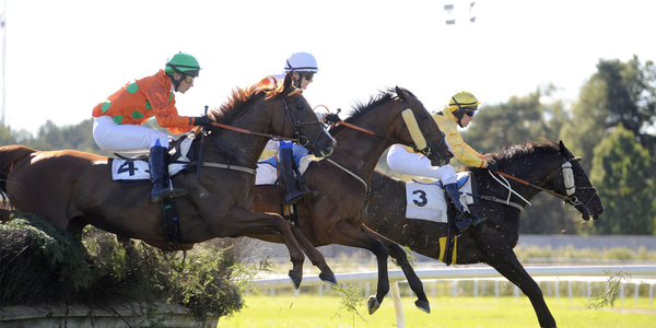 Drottningens Pris hinderlopp Täby Galopp foto Stefan Olsson.png