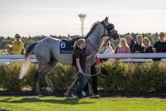 Duca Di Como solglasögon Large