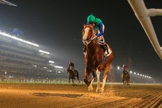 El Guanche (FR)-1201.JPG