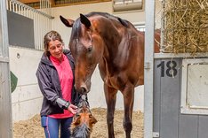 Espen Hill i stallet 2024