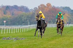 FiVZl6vQ Kengät.jpeg