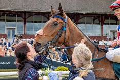 FkQc3BiI Des Pa Cito.jpeg