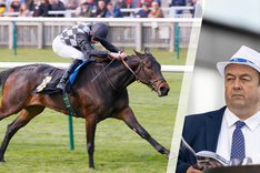 Fredagsbloggen Lavenders Blue.jpg