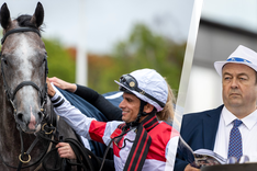 Fredagsbloggen cover 21 maj.png