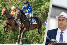 Fredagsbloggen cover 18 juni.jpg