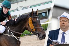 Fredagsbloggen cover Calvados.jpg