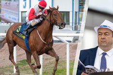 Fredagsbloggen cover Irish Action.jpg