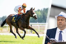 Fredagsbloggen cover Master Bloom.jpg