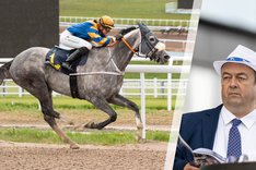 Fredagsbloggen cover Meydan.jpg