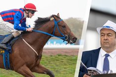 Fredagsbloggen cover TinWin.jpg