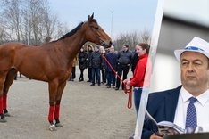 Fredagsbloggen stallbacksvandring.jpg