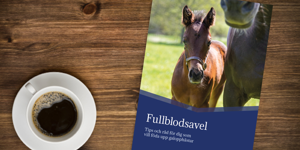 Fullblodsavel broschyr på bord