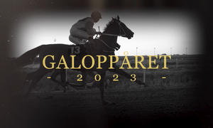 Galoppåret 2023