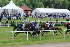 Galopphästar och publik på Göteborg Galopp2.jpg