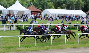 Galopphästar och publik på Göteborg Galopp2.jpg