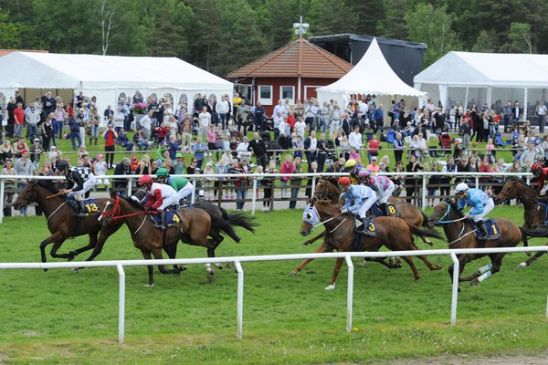 Galopphästar och publik på Göteborg Galopp3.jpg