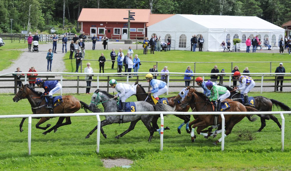 Galopphästar och publik på Göteborg Galopp.jpg