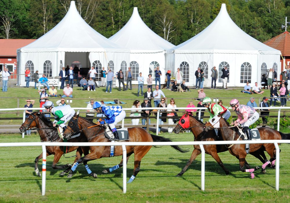 Galopphästar och publik på Göteborg Galopp4.jpg