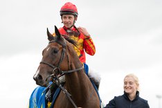 Good Eye Bro Park.jpeg