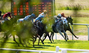 Göteborg Galopp 0068MOF200816-06121.jpg