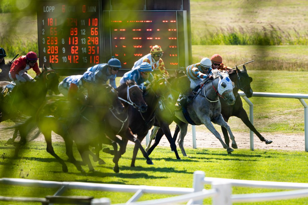 Göteborg Galopp 0068MOF200816-06121.jpg