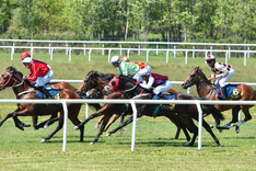 Göteborg Galopp 2020-05-31.png