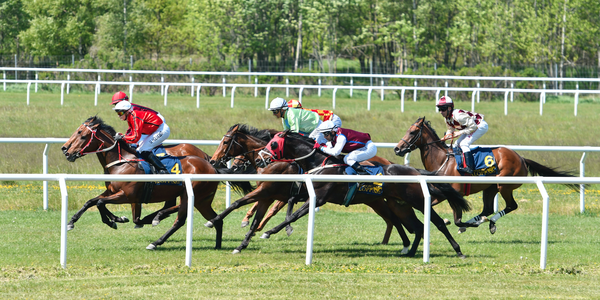 Göteborg Galopp 2020-05-31.png